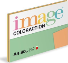 XEROGRAFICKÝ PAPÍR A4/80 G 5x20l MIX PASTEL BAREV