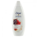 DOVE AFRICAN RITUAL 250 ML 