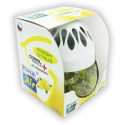 POWER AIR CORAL PEARLS 150 G FRESH CITRUS 